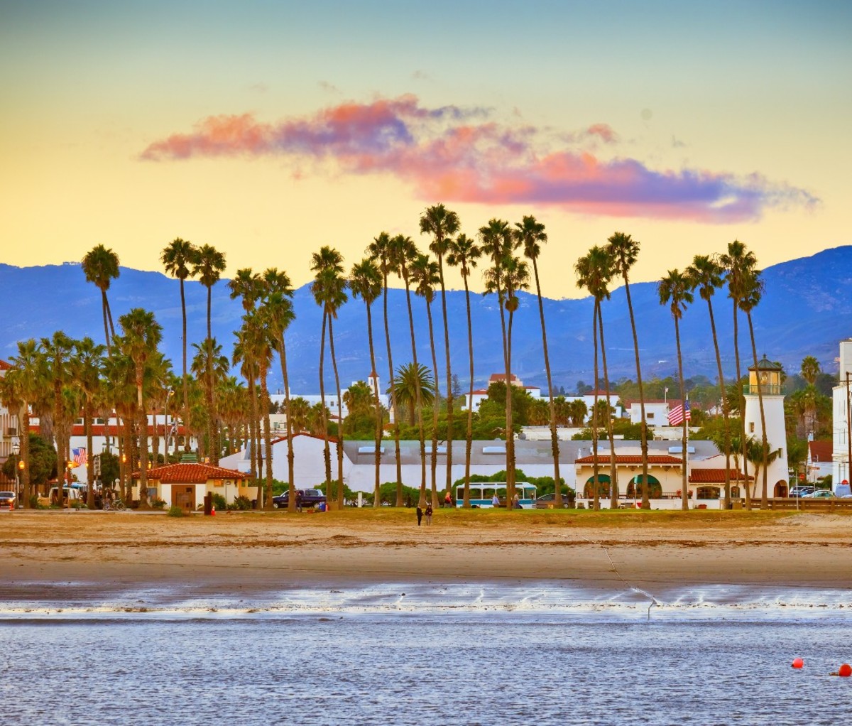 A row of palms in Santa Barbara, California