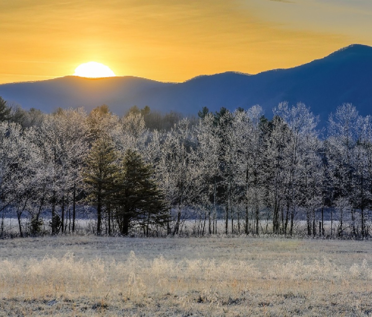 Sun rising over a frost covered landscape in Cades Cove of the Great Smoky Mountains.