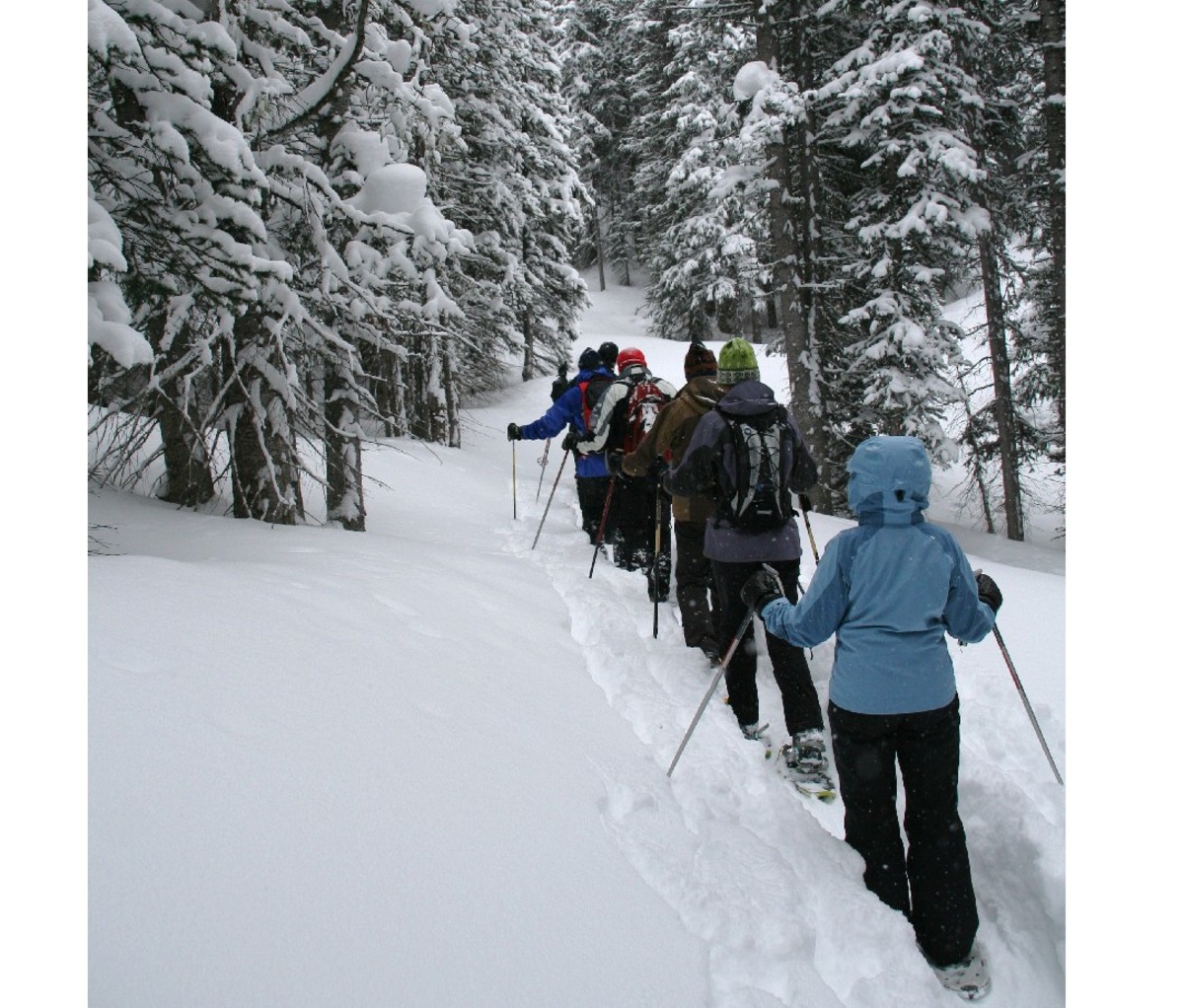 Snowshoe hikers in woods, Shrine pass, near Vail Pass.