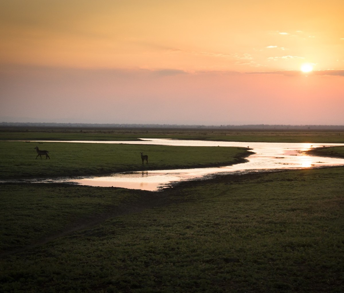 Sunset over the National Park Gorongosa in the center of Mozambique.