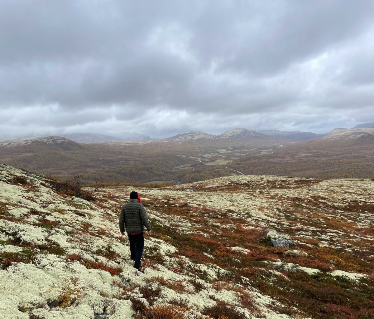 Panoramic views of hike with man