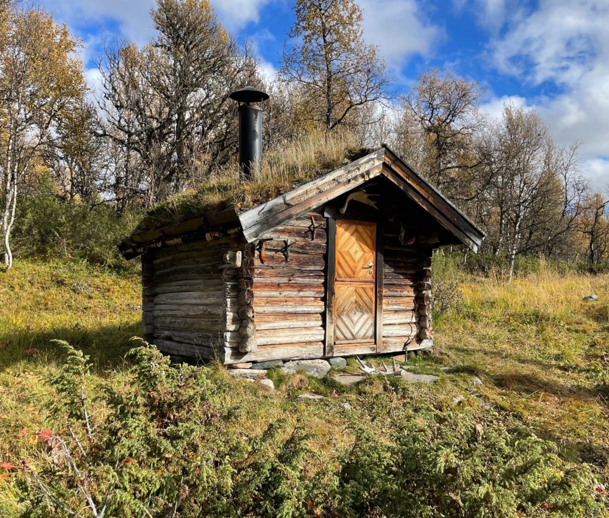Hunting cabin in woods