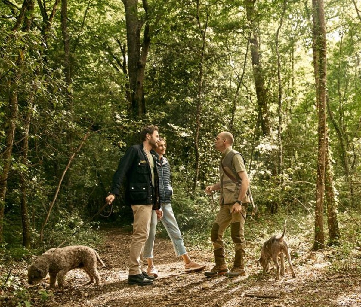 Two men and a woman with dogs in forest truffle hunting