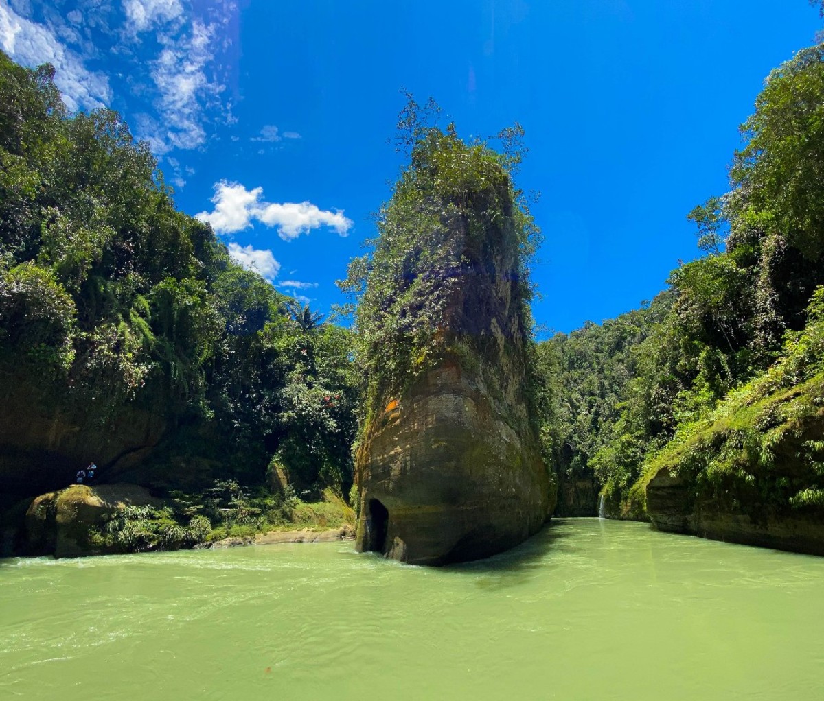 Forested cliffs along a tropical river in Colombia.