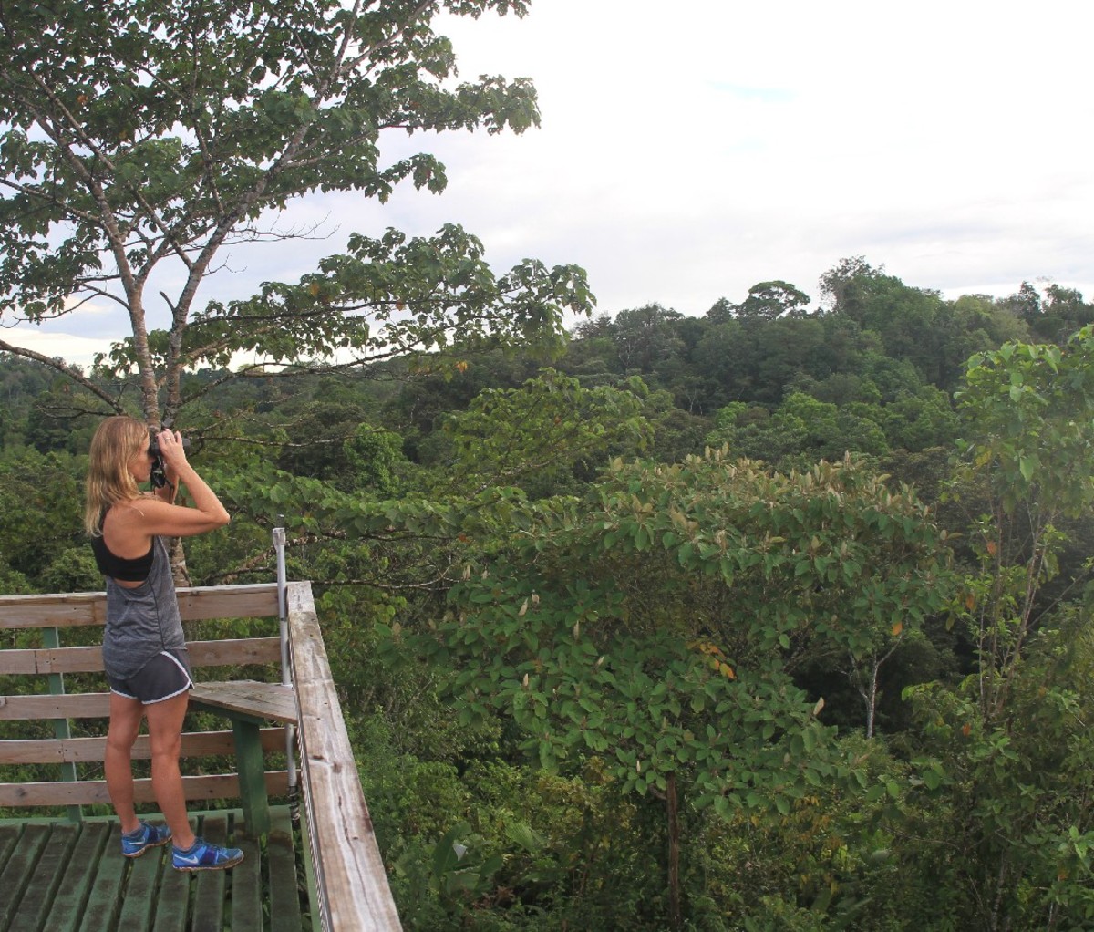 Woman standing on a platform viewing through binos in Corcovado National Park.