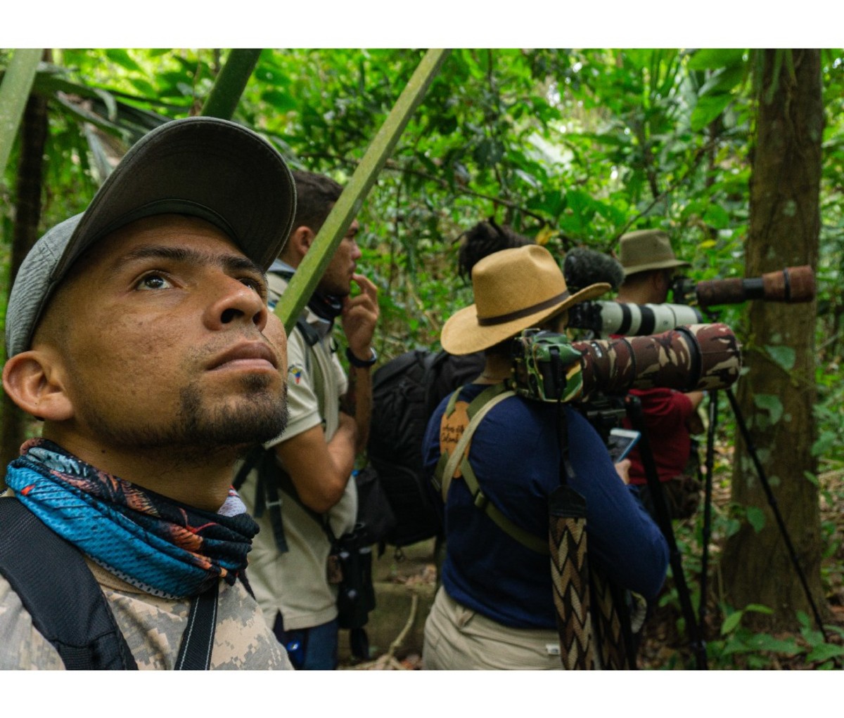 Young Colombian guide with birders in the rain forest.