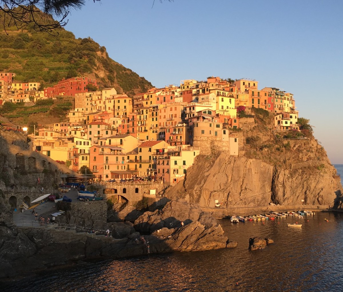 Vista costiera delle residenze sulla scogliera di Manarola.