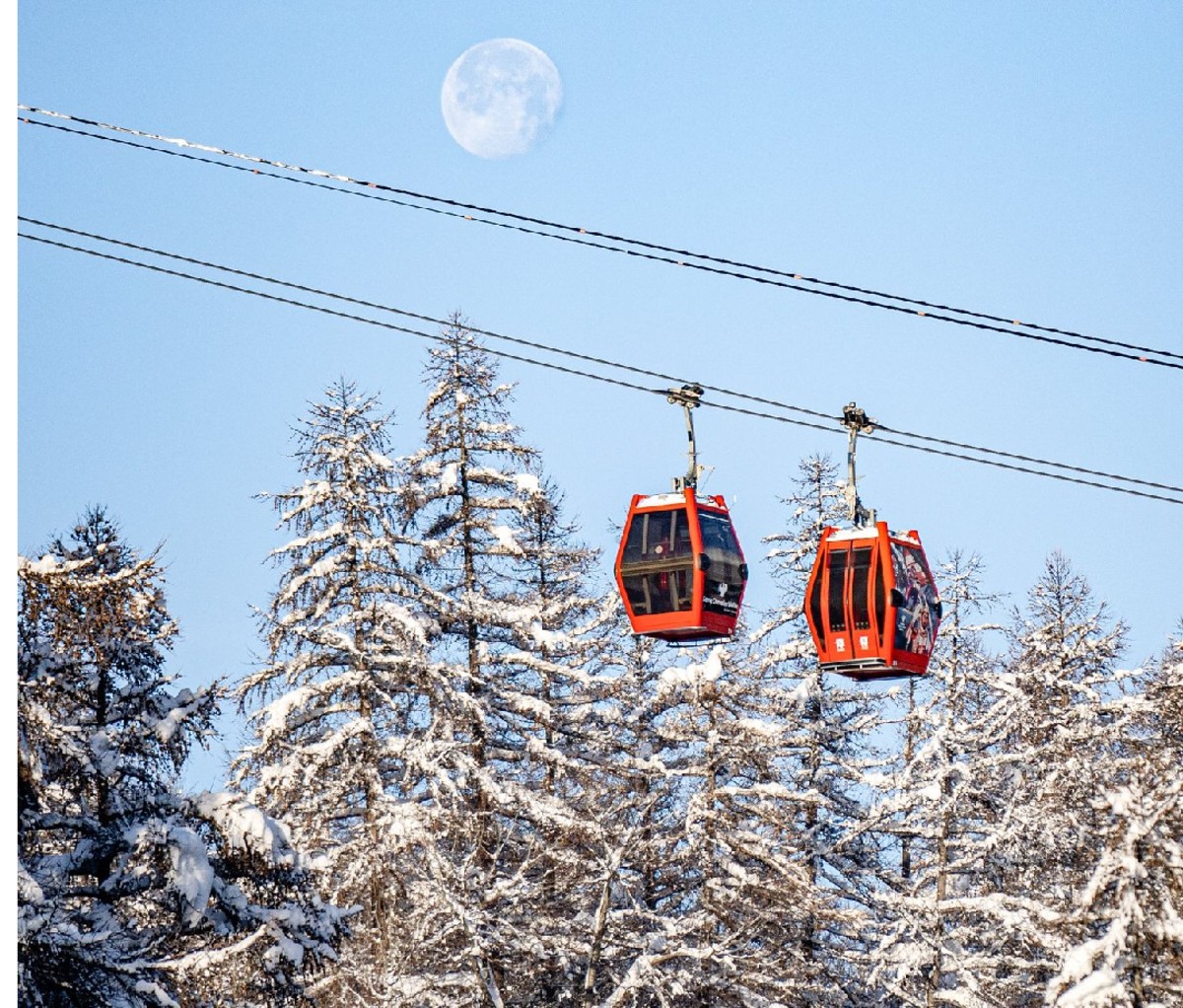 Two red gondolas in the pine trees with a full moon in the background, day.