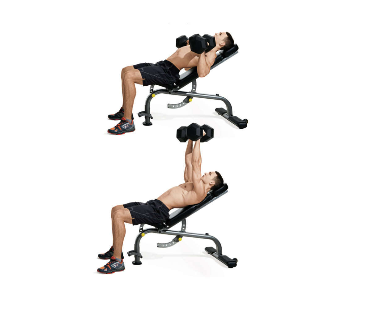 The Best Full Gym Chest Workout Incline dumbbell press for upper chest muscle growth