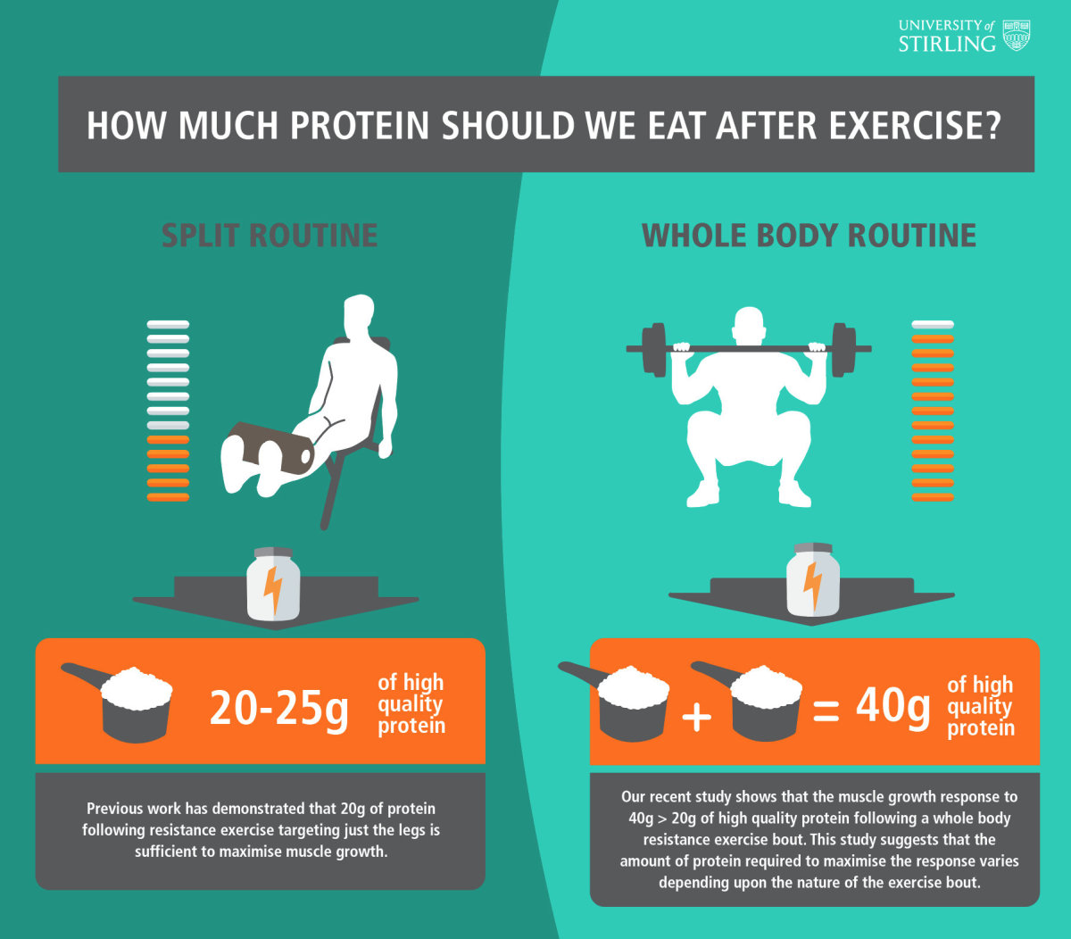 How much protein do you need after a workout graphic