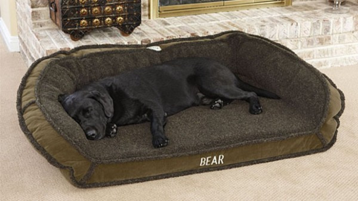 5 Durable Dog Beds From LL Bean, Orvis, Filson and More Men's Journal