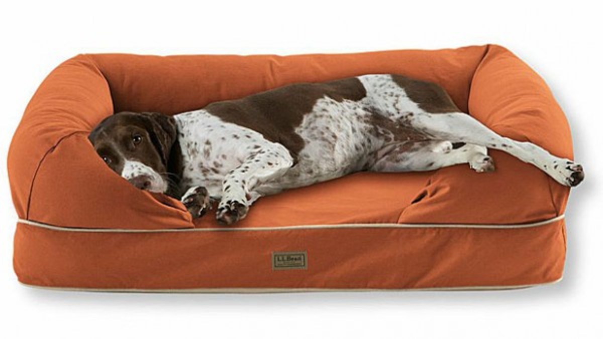 5 Durable Dog Beds From LL Bean, Orvis, Filson and More Men's Journal