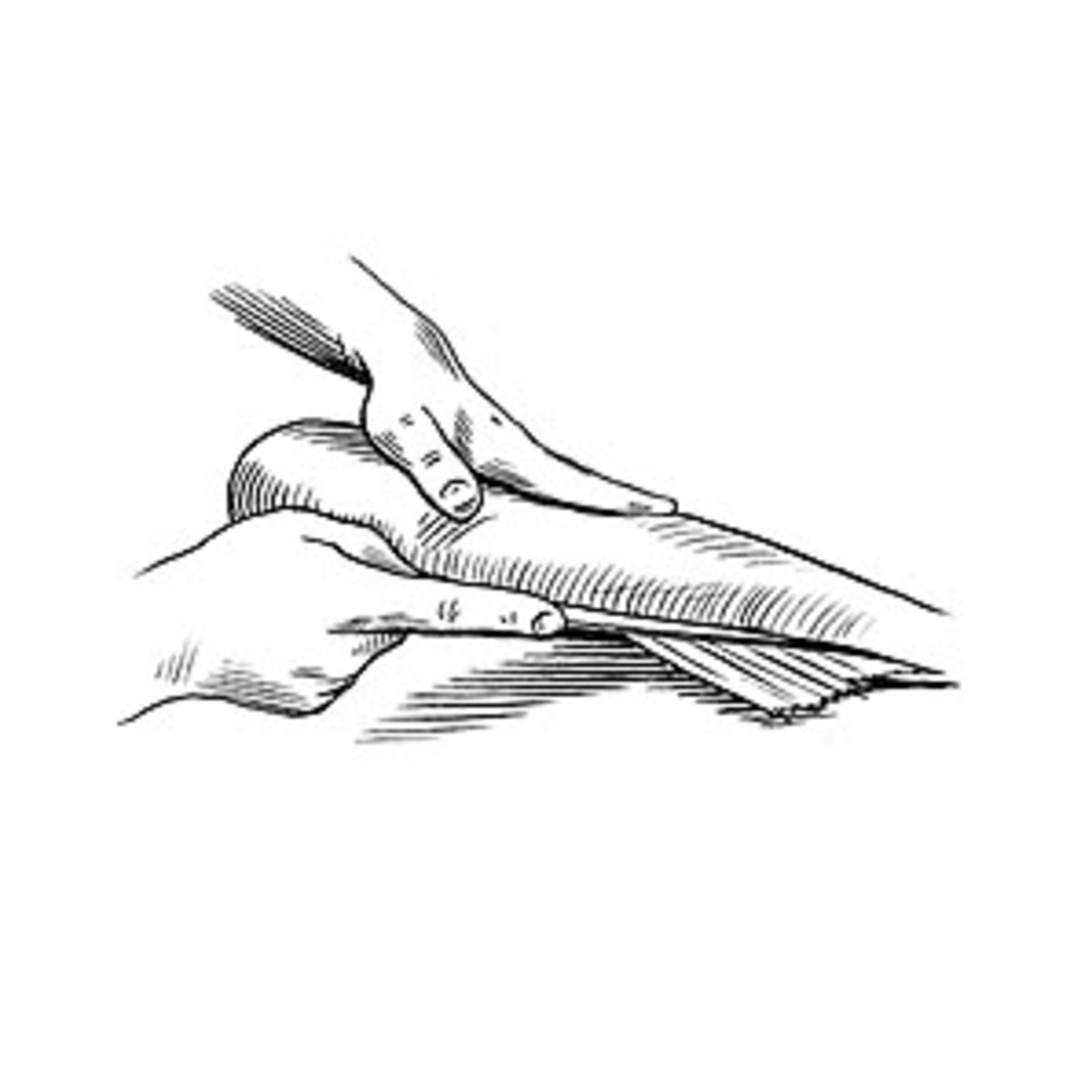 How to fillet a fish.