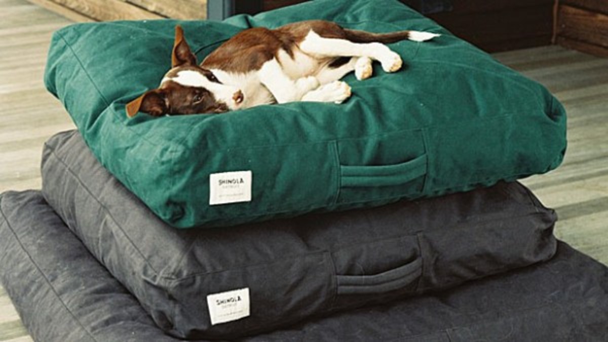 5 Durable Dog Beds From LL Bean, Orvis, Filson and More Men's Journal
